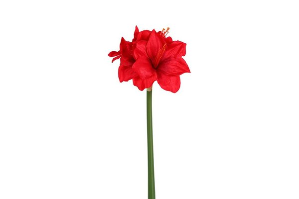 Countryfield zijden Amaryllis 65 cm rood