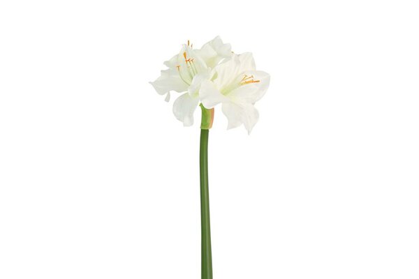 Countryfield zijden Amaryllis 65 cm wit