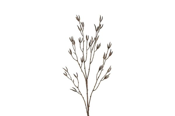 Countryfield zijden betula 90 cm licht bruin
