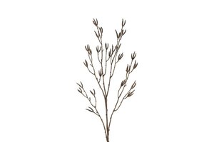 Countryfield zijden betula 90 cm licht bruin