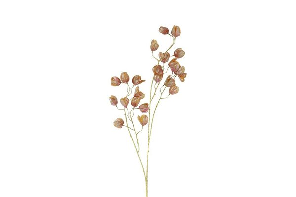 Countryfield zijden bloem abutilon 104 cm goud