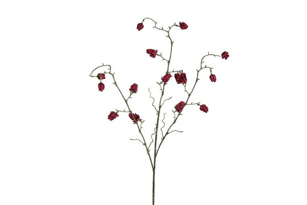Countryfield zijden bloem abutilon 95 cm paars