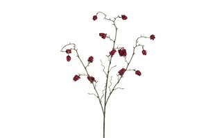 Countryfield zijden bloem abutilon 95 cm paars