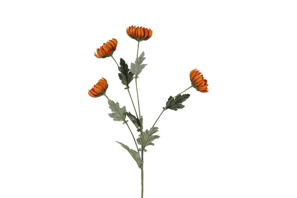 Countryfield zijden chrysanthemum 84 cm bruin