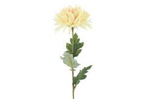 Countryfield zijden Chrysanthemum vienna 68 cm creme