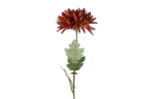 Countryfield zijden Chrysanthemum vienna 68 cm paars
