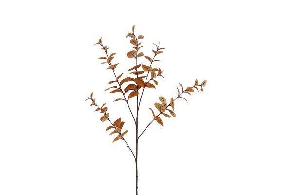 Countryfield zijden eucalyptus 94 cm bruin