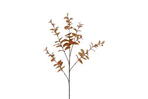 Countryfield zijden eucalyptus 94 cm bruin