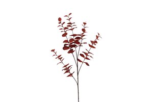 Countryfield zijden eucalyptus 94 cm rood