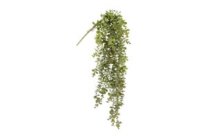 Countryfield zijden hangplant eucalyptus 98 cm licht bruin