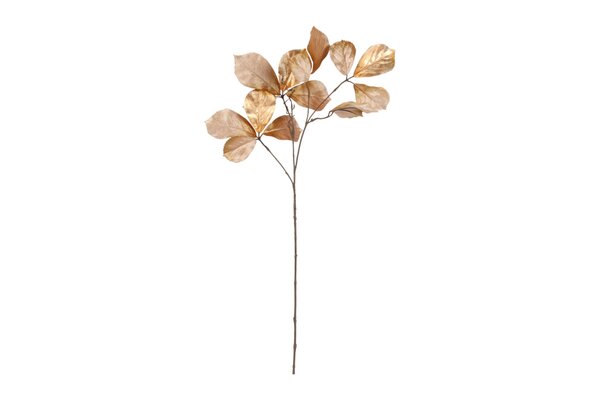 Countryfield zijden Parthenocissus 80 cm bruin