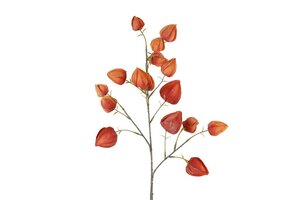 Countryfield zijden physalis 82 cm rood