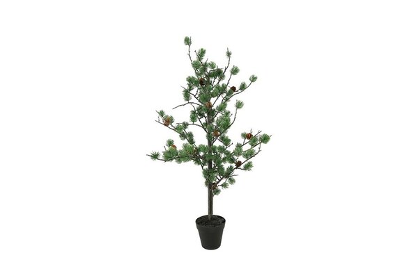 Countryfield zijden pinus parviflora plant 76 cm