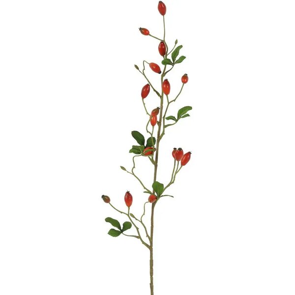 Countryfield zijden Rosa canina 83 cm rood