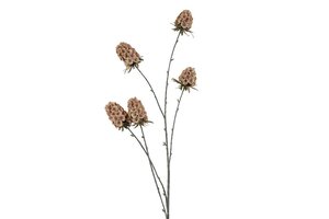 Countryfield zijden Scabiosa 117 cm beige