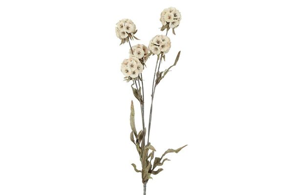 Countryfield zijden Scabiosa 81 cm creme