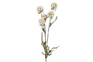 Countryfield zijden Scabiosa 81 cm creme
