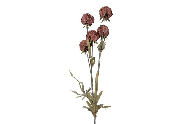Countryfield zijden Scabiosa 81 cm rood