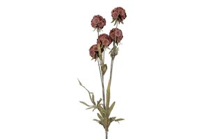 Countryfield zijden Scabiosa 81 cm rood