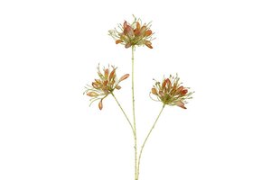 Countryfield zijden Sparkly cleome 94 cm goud