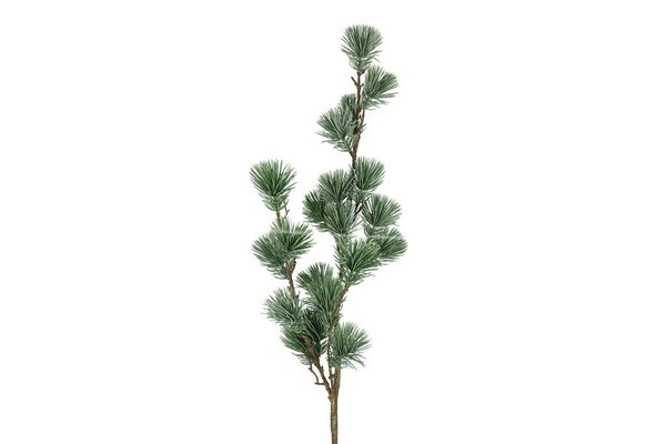 Countryfield zijden tak den pinus sphaera 78 cm groen