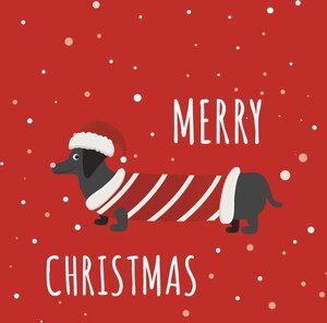 Duni servetten dachshund 33x33 cm