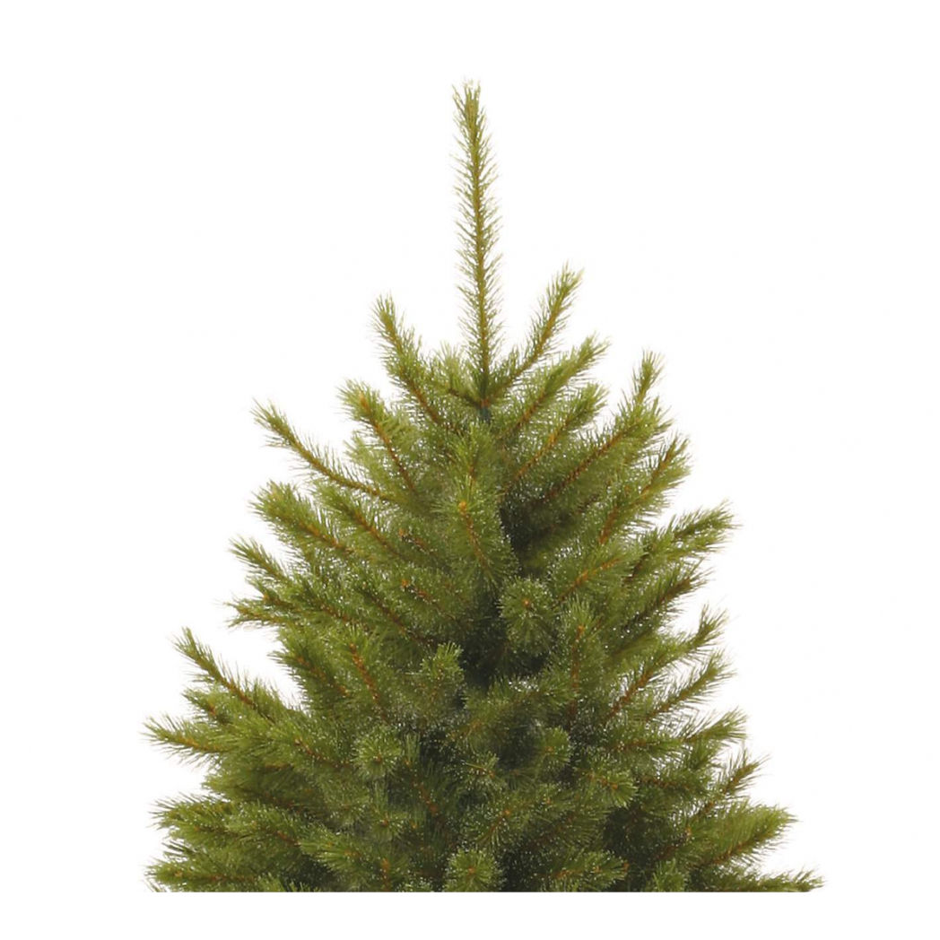 patrouille ga winkelen Peer Kunstkerstboom Forest frosted pine 155cm online kopen? -  Koopkerstverlichting.nl