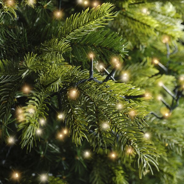 LED compact lights 350 warm wit en klassiek warm lampjes - afbeelding 4