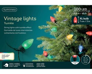 Led vintage lights peer 100 lamps multi colour - afbeelding 2