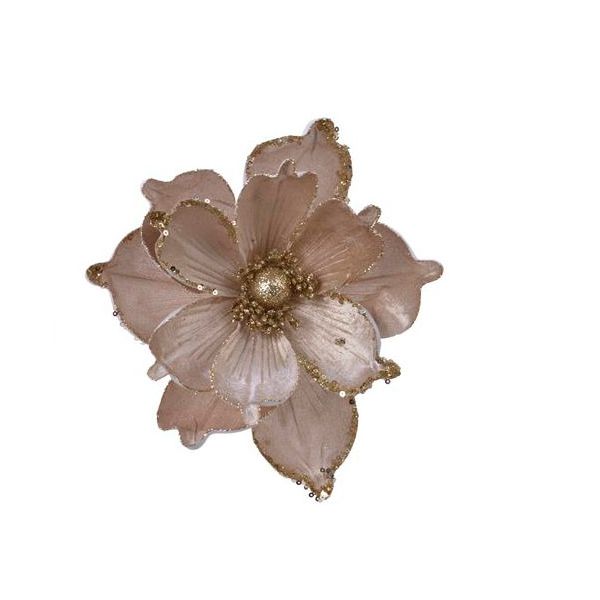 Magnolia op clip champagne 22 cm