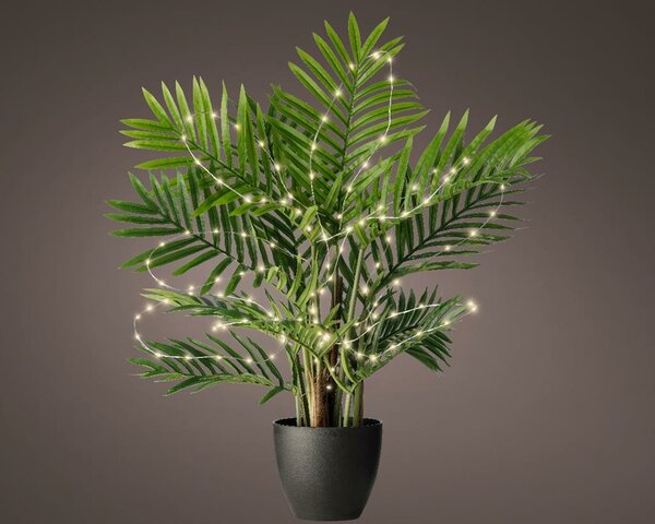 Microled plant verlichting 40 lamps warm wit - afbeelding 1