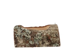 Natuurlijke eiken pot 19 cm
