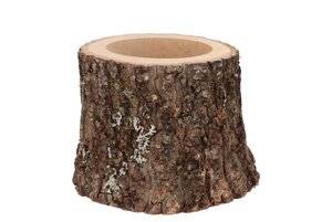 Natuurlijke eiken pot D13-15 cm