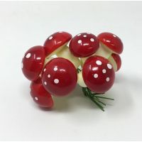 Paddenstoelen plc coating rood 12st