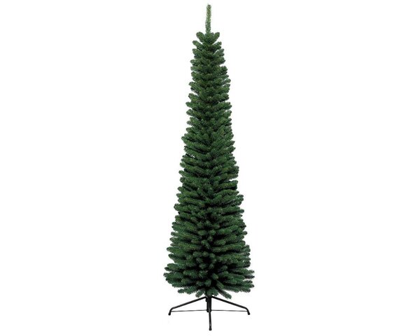 Pencil pine 150 cm groen
