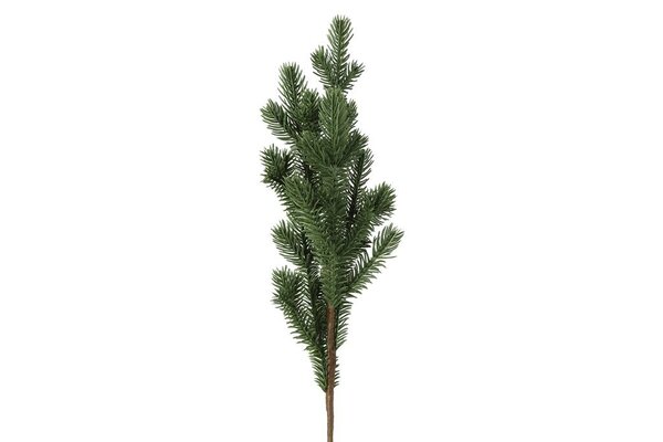 Pinus 78 cm groen
