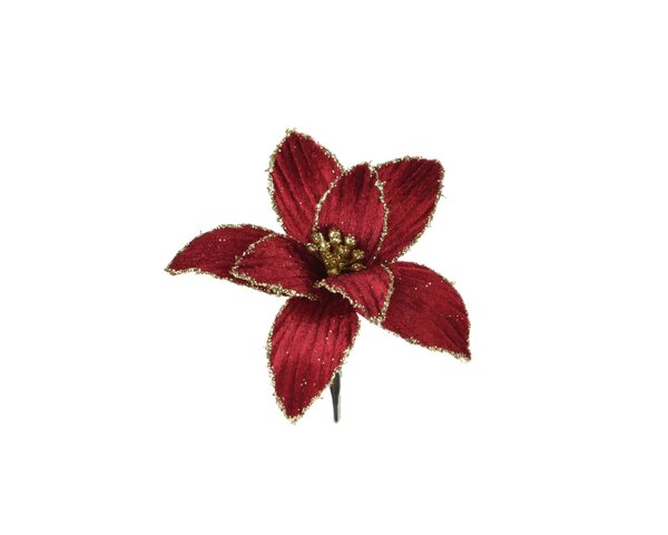 Poinsettia fluweel 13 cm ossenbloed