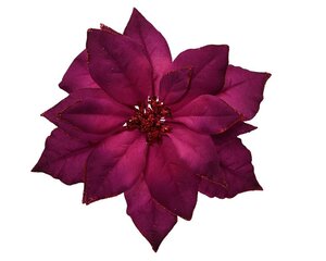 Poinsettia op clip 24 cm donkerroze