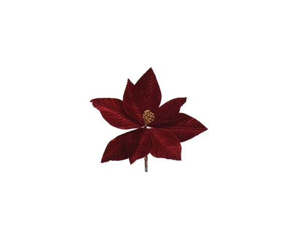 Poinsettia op clip fluweel 25 cm burgundy