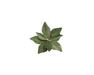 Poinsettia op clip fluweel 25 cm groen