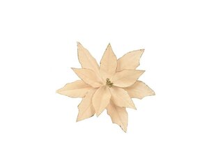 Poinsettia op clip fluweel 35 cm beige