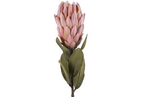 Protea 61 cm roze