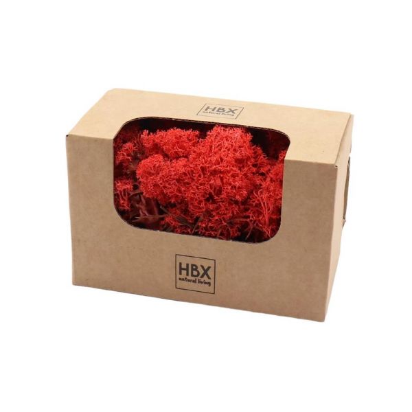Rendiermos rood 50 gram