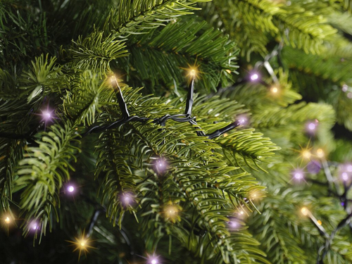 Rice lights