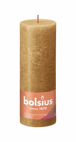 Bolsius kaars rustiek 19x7 cm spice brown