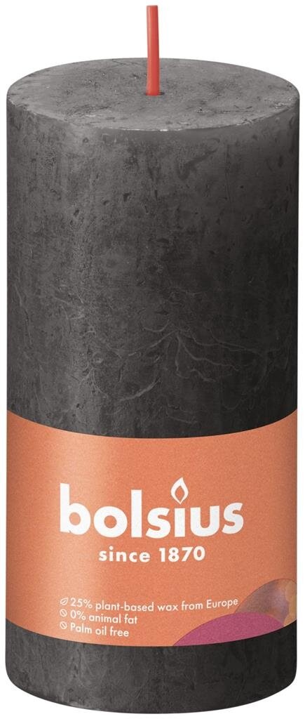 Bolsius kaars rustiek 10x5 cm stormy grey