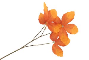 Tak zijdebladkastanje sinaasappel 79 cm