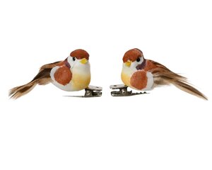 Vogel bruin / wit / geel op clip 2,5 cm