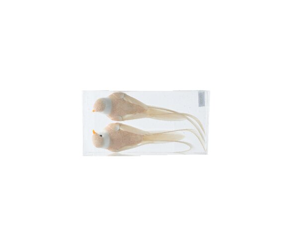 Vogel foam creme 15 cm 2 stuks