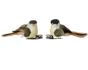 Vogel groen / wit / geel op clip 2,5 cm